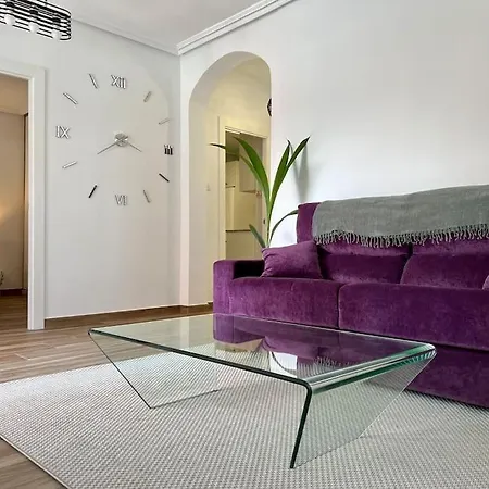 Apartment Canalejas 66